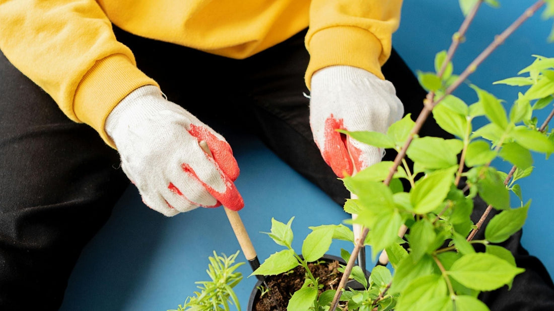 The complete guide to cotton gloves: Uses, benefits, and buying tips