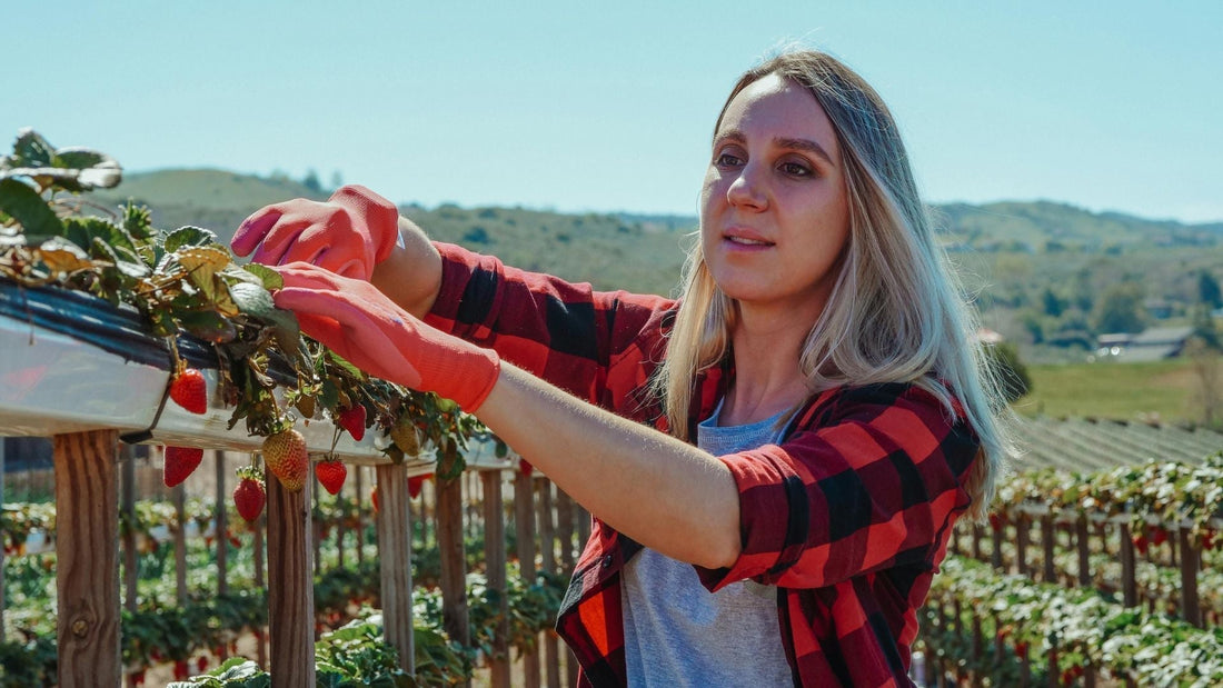 Cotton gloves near me: Why does every worker need them?
