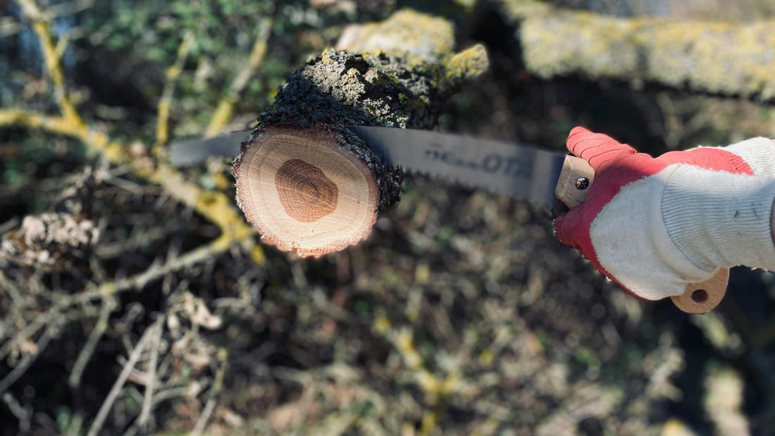 Safety gloves for cutting: The guide to choosing the right pair